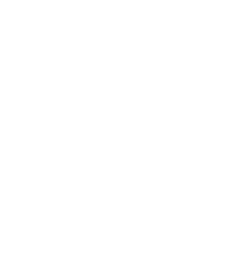 Premier Lending Group PLG Corp